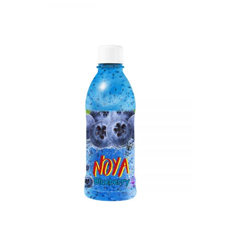 Noya Drink "Bosbessen" 355ml