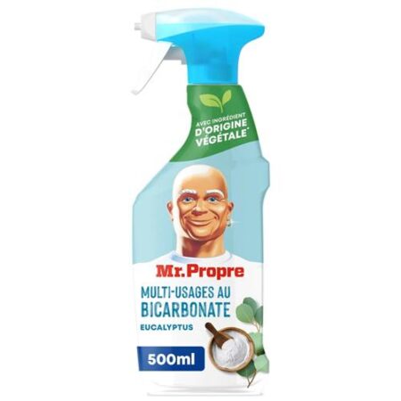 Mr. Propre Allesreiniger Met Bicarbonaat Eucalyptus 500ml