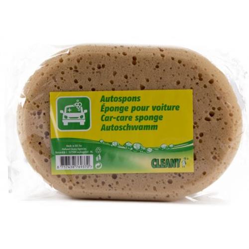 Cleany Autospons 19,5x13,5x7cm
