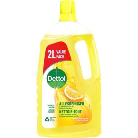 Dettol Allesreiniger Sprankelende Citroen 2L
