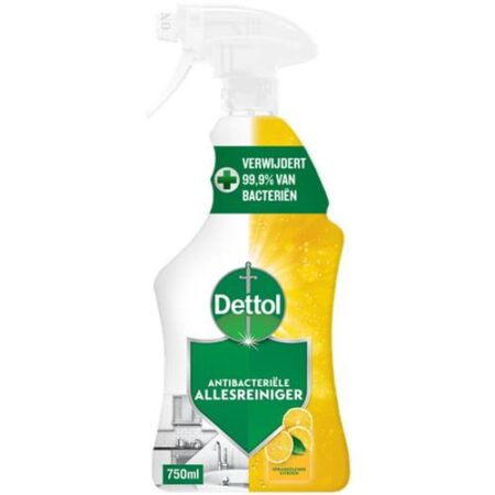 Dettol Allesreiniger Spray 500ml Citroen