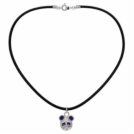 Halsketting Met Zilver-Blauw Pandahangertje